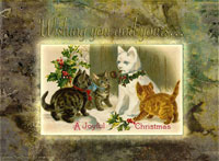 card1