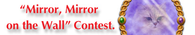 mirror mirror contest