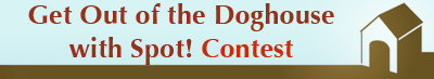 doghouse contest
